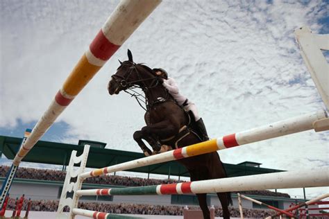 The Essential Horse Jump Equipment You Need to Succeed