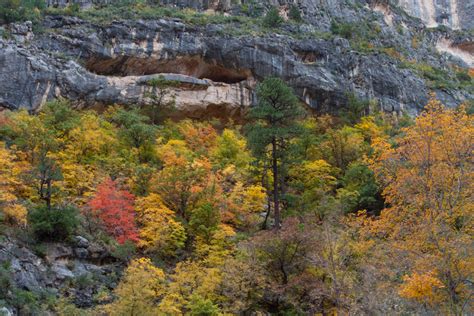 Fall Colors in McKittrick Canyon - Big Bend Chat