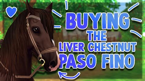 Buying The Liver Chestnut Paso Fino Star Stable Online Youtube