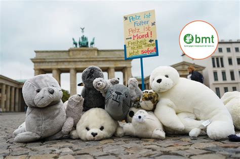 Spenden F R Den Tierschutz Ein Herz F R Tiere Stiftung Warentest