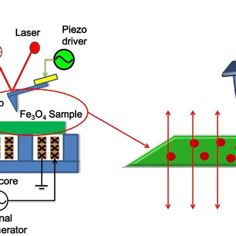 Schematic Diagram Of Alternating Magnetic Field Assisted Mfm System