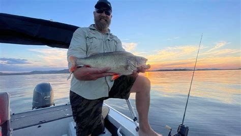 Lake Hume Catches By The Numbers The Border Mail Wodonga Vic