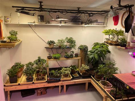 My basement oasis! : r/IndoorGarden
