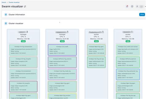 Anyone Displaying The Docker Swarm Visualizer In Ha Rhomeassistant