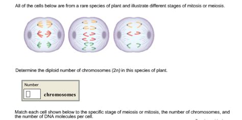 How To Determine Number Of Chromosomes