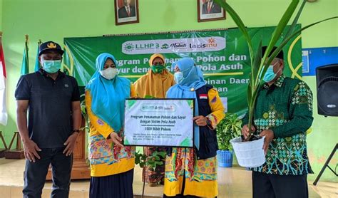 Ternyata Gerakan Menanam Pohon Llhpb Aisyiyah Terinspirasi Dari Hadist