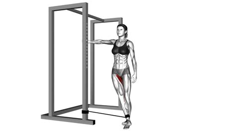 Effective Hip Adduction Exercises For Women Video Guide And Tips