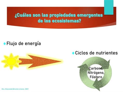 Propiedades Emergentes De Los Ecosistemas Y Bioacumulacion PPT