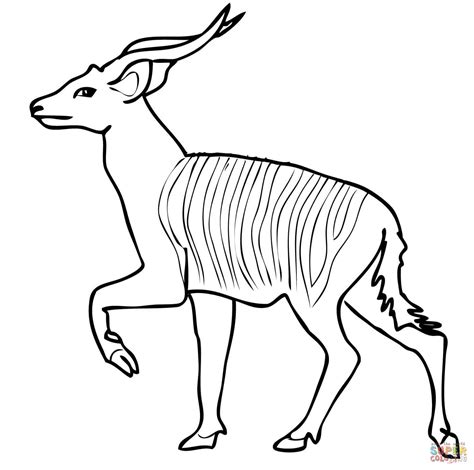 Coloriage Antilope bongo de la forêt africaine Coloriages à