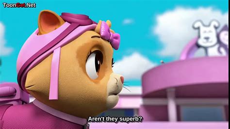 Paw Patrol Season 4 Episode 13 Pups Save The Cat Show Part 2 Video