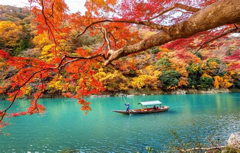 El otoño en Japón es casi tan popular como la primavera las hojas de