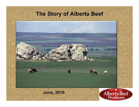 The Story Of Alberta Beef