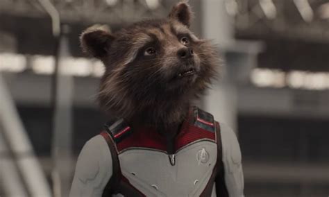 James Gunn Teases Future for Rocket Raccoon | The Mary Sue