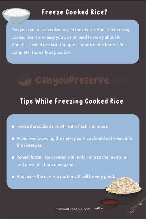 Can You Freeze Cooked Rice Maximizing Freshness The Pros And Cons