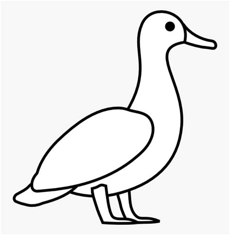 Outline Of A Duck Clip Art Free Transparent Clipart Clipartkey