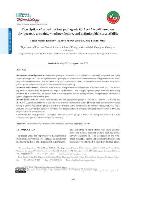 Pdf Description Of Extraintestinal Pathogenic Escherichia Coli Based On Phylogenetic Grouping