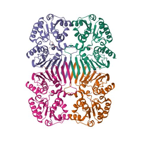 Rcsb Pdb 3uuw 163 Angstrom Resolution Crystal Structure Of