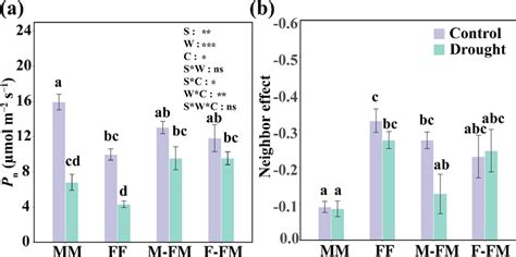 A The Net Photosynthetic Rate And Neighbor Effect Of Males And Females