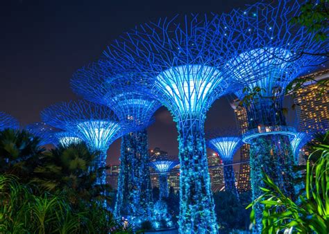 Experience Avatar: The Experience At Gardens By The Bay - An ...