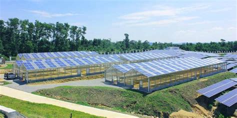Hot Dip Galvanized Steel Photovoltaic Mounting System For Greenhouse