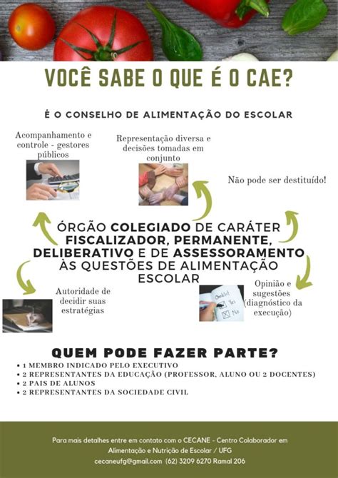 Cae Conselho De AlimentaÇÃo Escolar Prefeitura Municipal De Turvelândia