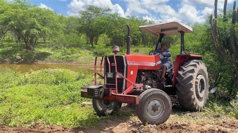 O Tratorista Do Mf275 Tirou O Dia Para Preparar Seu Roçando Nas Margens