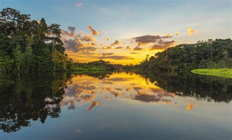 Experience Brazil Rio De Janeiro Manaus The Amazon Days Kimkim