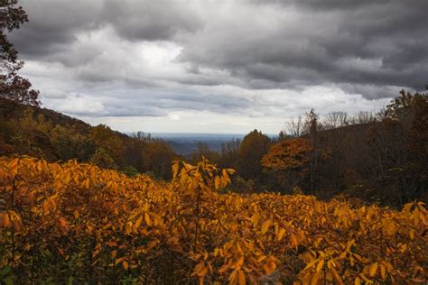 Best Places for Fall Foliage in Shenandonah Valley | Momma Wanderlust