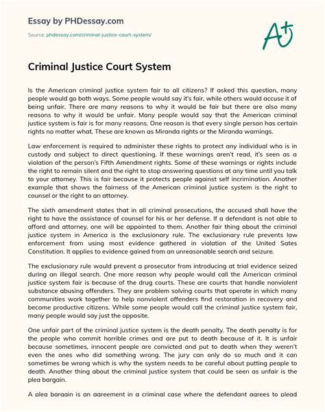 Criminal Justice Court System Essay Example