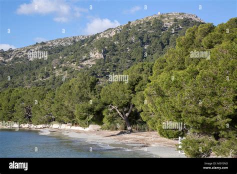 Formentor Beach; Majorca; Spain Stock Photo - Alamy