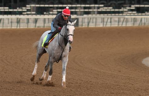 Handicapping guides explain what david aragona picks mean for the derby 10