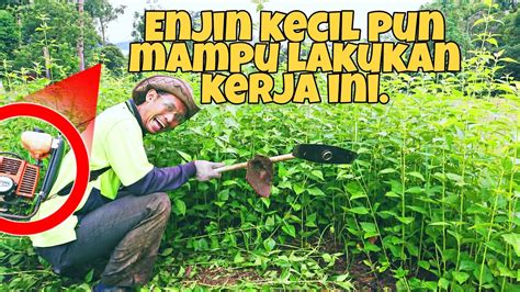 Cara Pantas Potong Rumput Tebal Yang Ramai Orang Tak Tahu Overgrown Lawn Yard Youtube