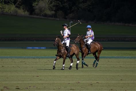 Polo Game Stock Photos, Images and Backgrounds for Free Download