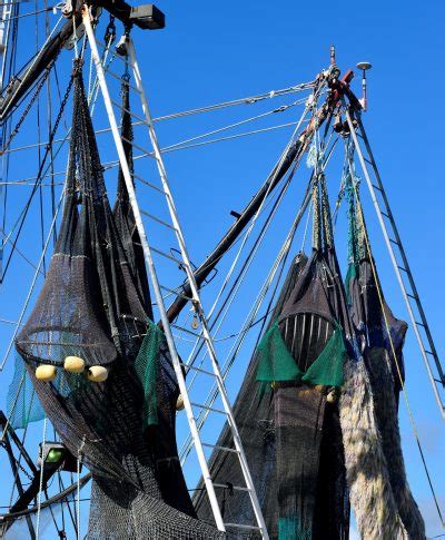 Marin pêcheur un métier passion essentiel à l économie maritime