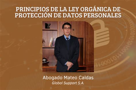 Principios De La Ley OrgÁnica De ProtecciÓn De Datos Personales