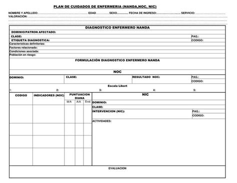 Hoja De Plan De Cuidados De Enfermeria Pae Nanda Noc Nic Moises