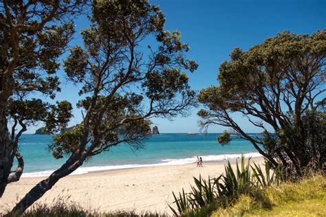 beaches   coromandel peninsula boom sailing
