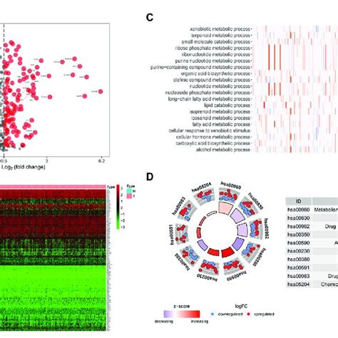 The Analyses Of Prognosis Related Genes A The Correlation Network