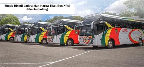 Simak Disini Jadwal Dan Harga Tiket Bus Npm Jakarta Padang Tanggal