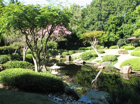 Filejapanese Gardens At Mt Coot Tha Wikipedia The Free Encyclopedia