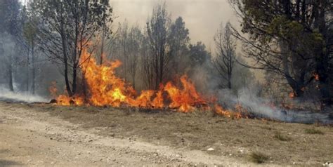 Dos Provincias Del Norte De Argentina Registran Focos De Incendios