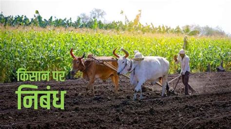 किसान पर निबंध Essay On Farmer In Hindi 1000 Words