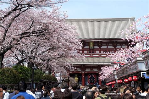 【東京賞櫻】盤點13個東京賞櫻必去景點推薦 涵天食尚玩樂生活誌