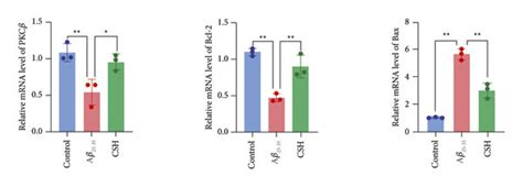 Effects Of Csh On Markers Of Apoptosis In Ht Cells A Relative Mrna