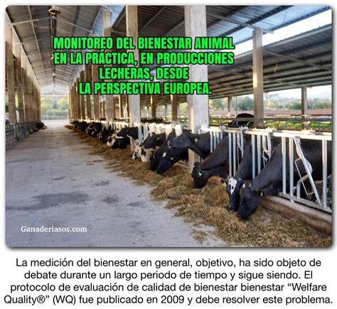 MONITOREO DEL BIENESTAR ANIMAL EN LA PRÁCTICA EN PRODUCCIONES LECHERAS