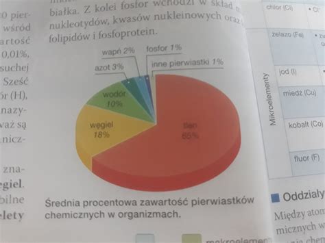 Sk Ad Chemiczny Organizm W Diagram Quizlet