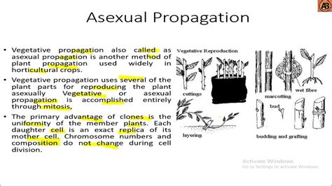 Advantages And Disadvantages Of Sexual Propagation And Asexual Propagation ।। Learn With Ab