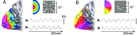 Phase Encoded Retinotopic Mapping A Expanding Ring And B Rotating