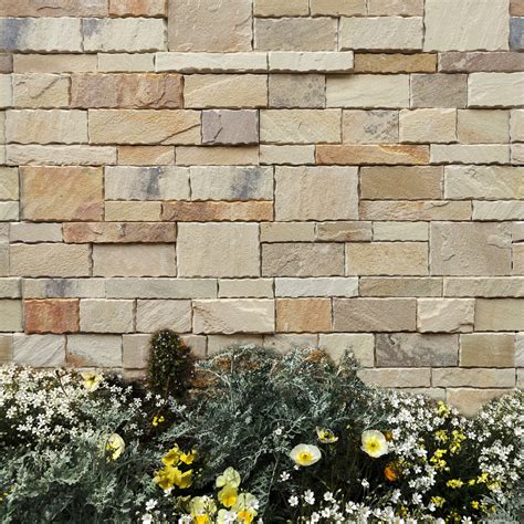 Fossil Sandstone Ledger Panel Natural Stone Resources