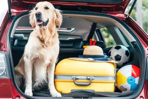 11 Best Cars And Suvs For Dogs 2025 Reviews Riding With Rover